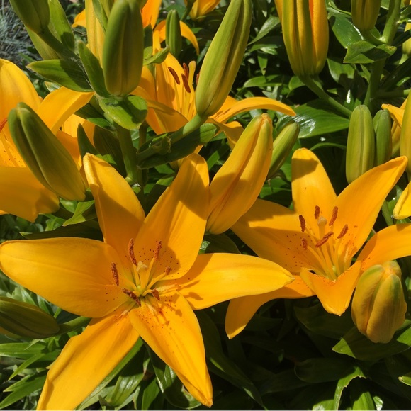 Meet your Posher - Picture 2 of 9